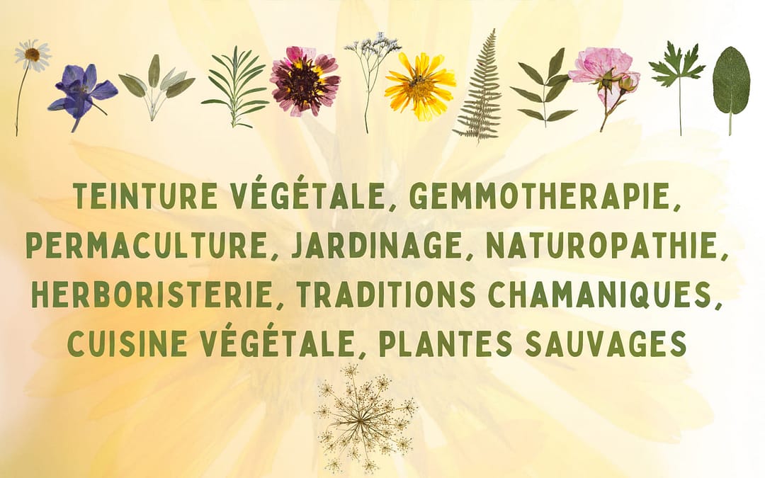 Festival Mère Nature