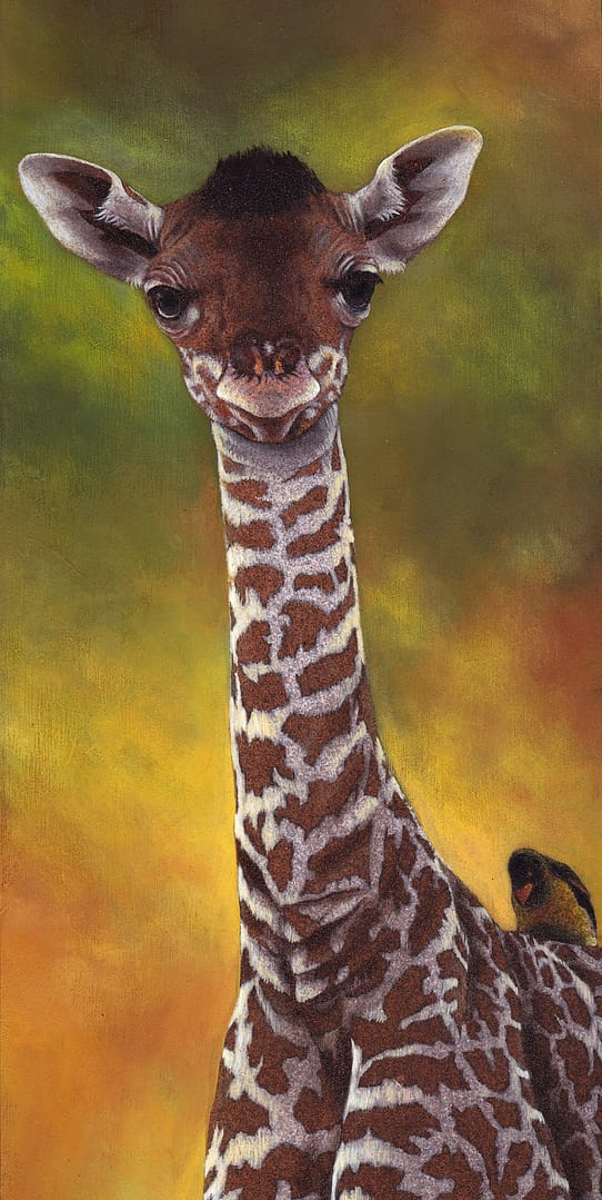 94883279_10221279050984163_4296339319007739904_n